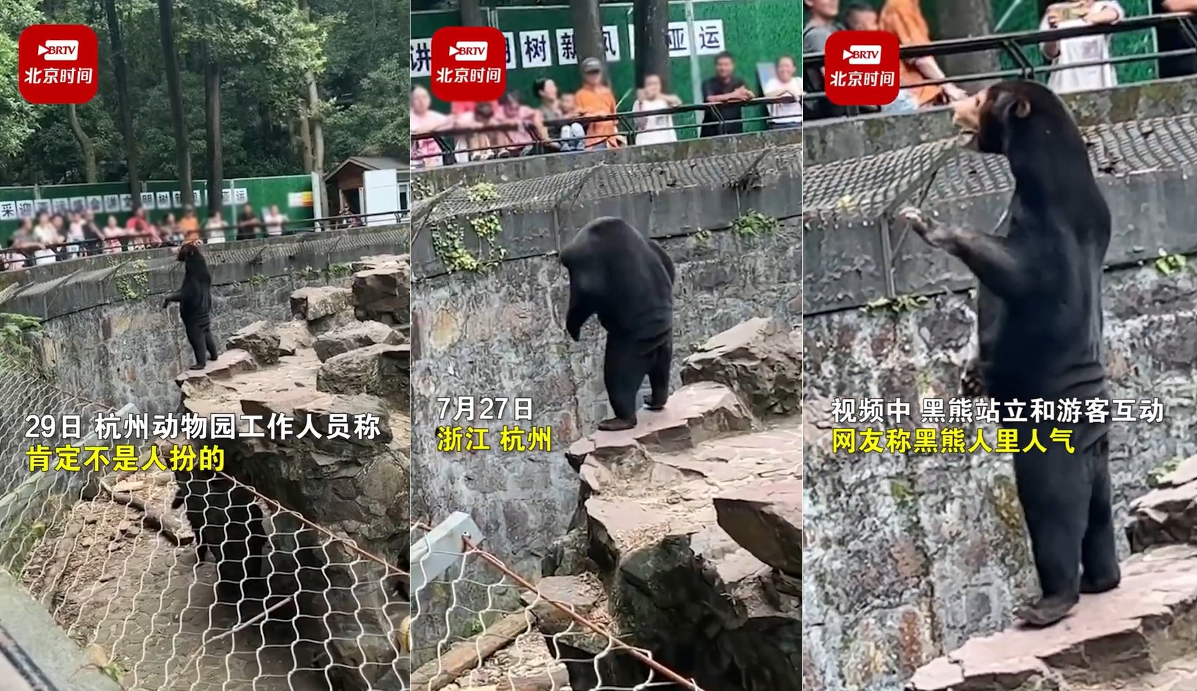 중국 항저우 동물원 말레이곰