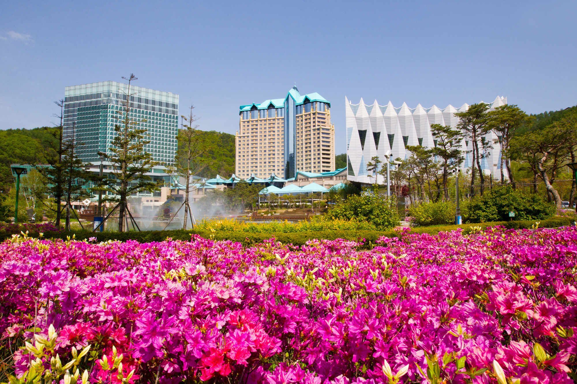 강원랜드, 2분기 영업이익 820억원… 전년比 17.3% 증가
