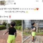 아동복으로도 나온 문신돼지충 옷