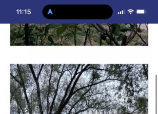 한소희 럽스타그램 의혹…남친은 모델 채종석? 증거 보니