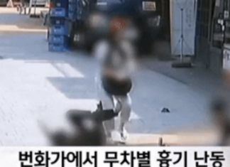 신림동 칼부림, 여친보다 먼저 도망친 남친 영상