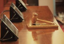 70대 장애인 몸에 쟁기 매달고 소처럼 밭 갈기…30년 학대인데 고작 집유 판사봉