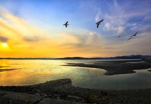 9·10월 가을에 가기 좋은 여행지 ‘국내 섬 BEST 5’ 대부도 갯벌