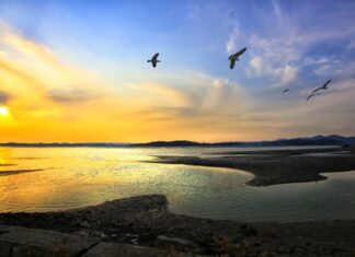 9·10월 가을에 가기 좋은 여행지 ‘국내 섬 BEST 5’ 대부도 갯벌