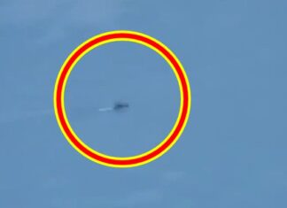 백두산 천지 괴물, 이번엔 진짜? 목 쭉 빼고 물살 가르는 영상 백두산 천지