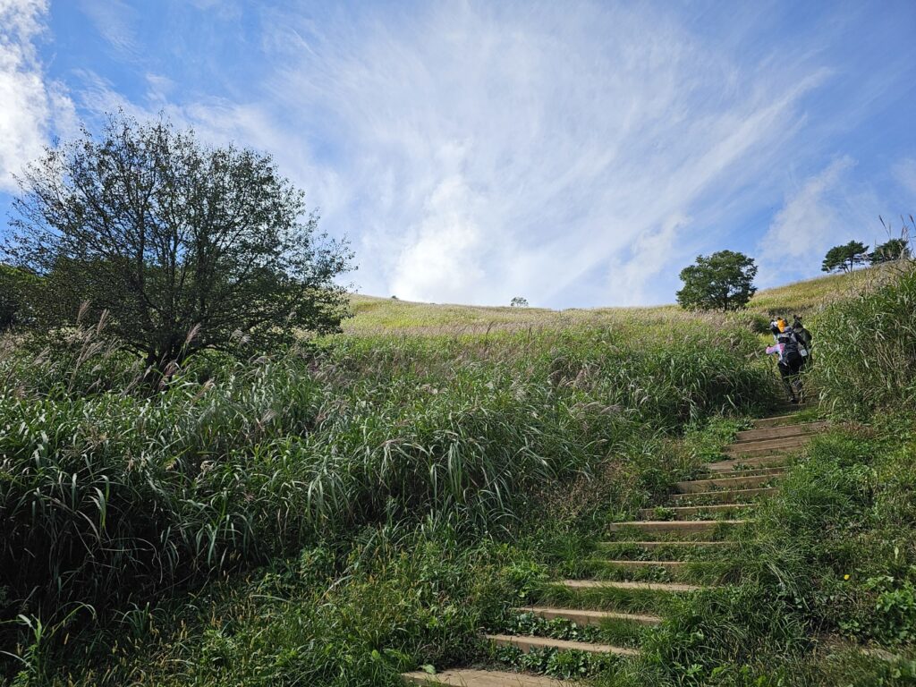 민둥산 정상