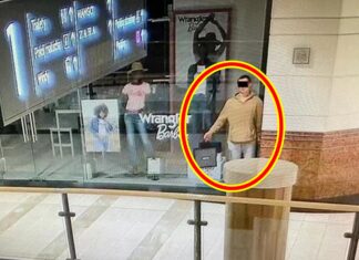 마네킹인 척 서 있다 쇼핑몰 싹 털어 나온 손님 마네킹 흉내