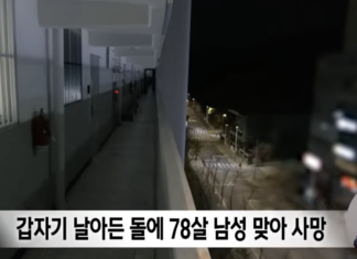 아내 부축하던 78세 돌에 맞아 사망…범인은 초등학생 2명