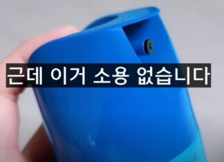 헤어 드라이기만 있으면 끝? 집에서 하는 빈대 퇴치법 빈대 퇴치