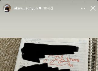 악동뮤지션 수현 일기장에 찬혁이 첨삭한 내용