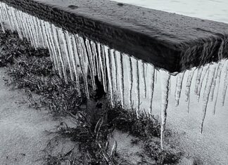 서울 오후 9시 한파주의보… 서울시 24시간 비상근무