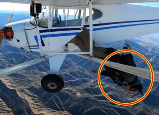 조회수 올리려다 징역 살게 된 유튜버, 무슨 일? 유튜버 트레버 대니얼 제이컵