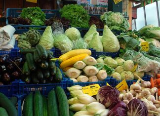 채식을 주로 하는 여성들의 신체에서 이것이 383%나 뛰었다.