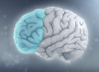 소아청소년 정신장애 상태 ‘심각’…’파괴적·충동조절 및 품행장애’ 유병률 역최고