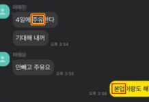 역대급 대전 서구청 불륜 사건 총정리…더 뻔뻔한 근황 본업과 주유 대전 서구청 불륜