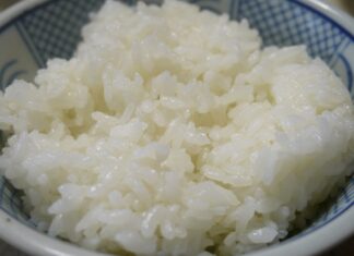 다이어트 하려면 찬밥 먹어야 하는 과학적인 이유 쌀밥