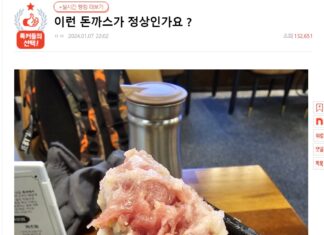 이런색 돈까스…. 여러분은 어떻게 생각하시나요?