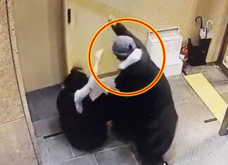 배현진 때린 중학생 무서운 실체…“여학생 사진 구해 스토킹” 배현진 피습 모습