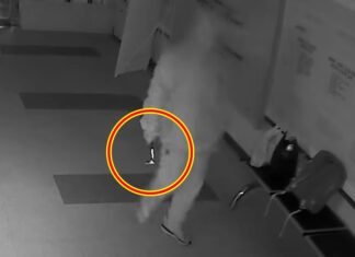 실내 흡연 제지했더니 망치 들고 죽어라 쫓아온 괴한 영상