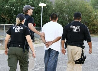 범행 후 뱃살때문에 현장을 벗어나지 못해 검거된 범인의 최후 뱃살때문에 검거된 범인