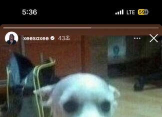 혜리 “재밌네”에 한소희도 인스타그램 업뎃!