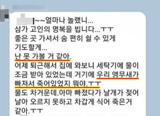모친상 중 9년 지기 친구에게 받은 소름돋는 문자