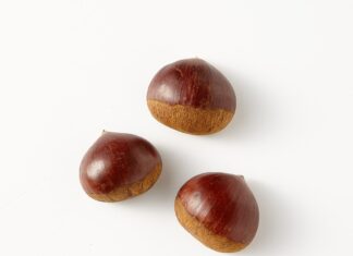 요즘 MZ에게 노래와 간식으로 핫한 ‘밤양갱’