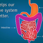 Dietary_fiber_for_youngsters