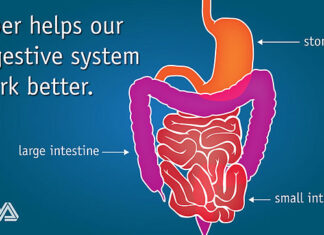 장 건강의 적신호 변비로 고생중이라면 이 과일을 먹어보세요!! 장건강을 위한 식이섬유 섭취