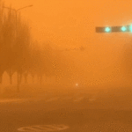 GIF333