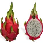 Pitaya_cross_section_ed2