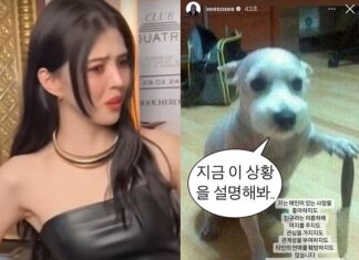 칼든 강아지 사진 올렸던 한소희가 악플 받자 낸 입장문 유튜브, 한소희 인스타그램