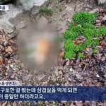 스크린샷-2024-03-06-133430