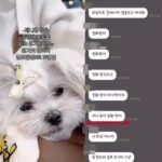 화면 캡처 2024-03-05 201510