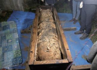 파묘 도중 나온 청도 미라 이름·집안 싹 다 밝혀졌다 청도미라