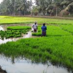 Agriculture_work