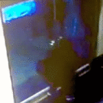 GIF111