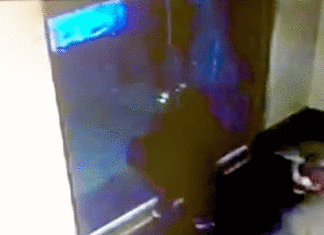 유리문 한 번 열었다가 472억 돈벼락 맞은 여성