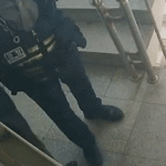 GIF33
