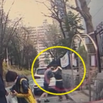 보배드림