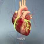 화면 캡처 2024-04-03 002506