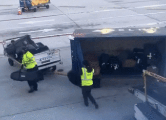 해외 골프 갔다가 골프채 부러진 적 있다면 꼭 봐야 할 영상