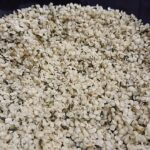 Hemp_seeds_protein