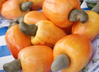 해외여행 중 시장에서 과일 사 먹고 입안 녹아버린 사연 캐슈사과