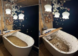 태국 치앙마이 노천탕 갔다가 겪은 벌레떼 목욕 사진