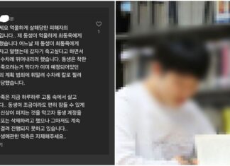 수능 만점 의대생에 살해당한 피해자 언니가 남긴 글