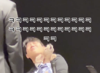 결혼식에서 강아지 축가는 처음봐요(+영상)