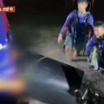 화면 캡처 2024-05-15 153508