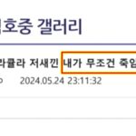 화면 캡처 2024-05-26 162806