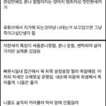 화면 캡처 2024-05-26 162817